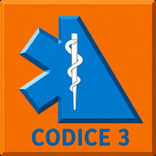 Codice 3